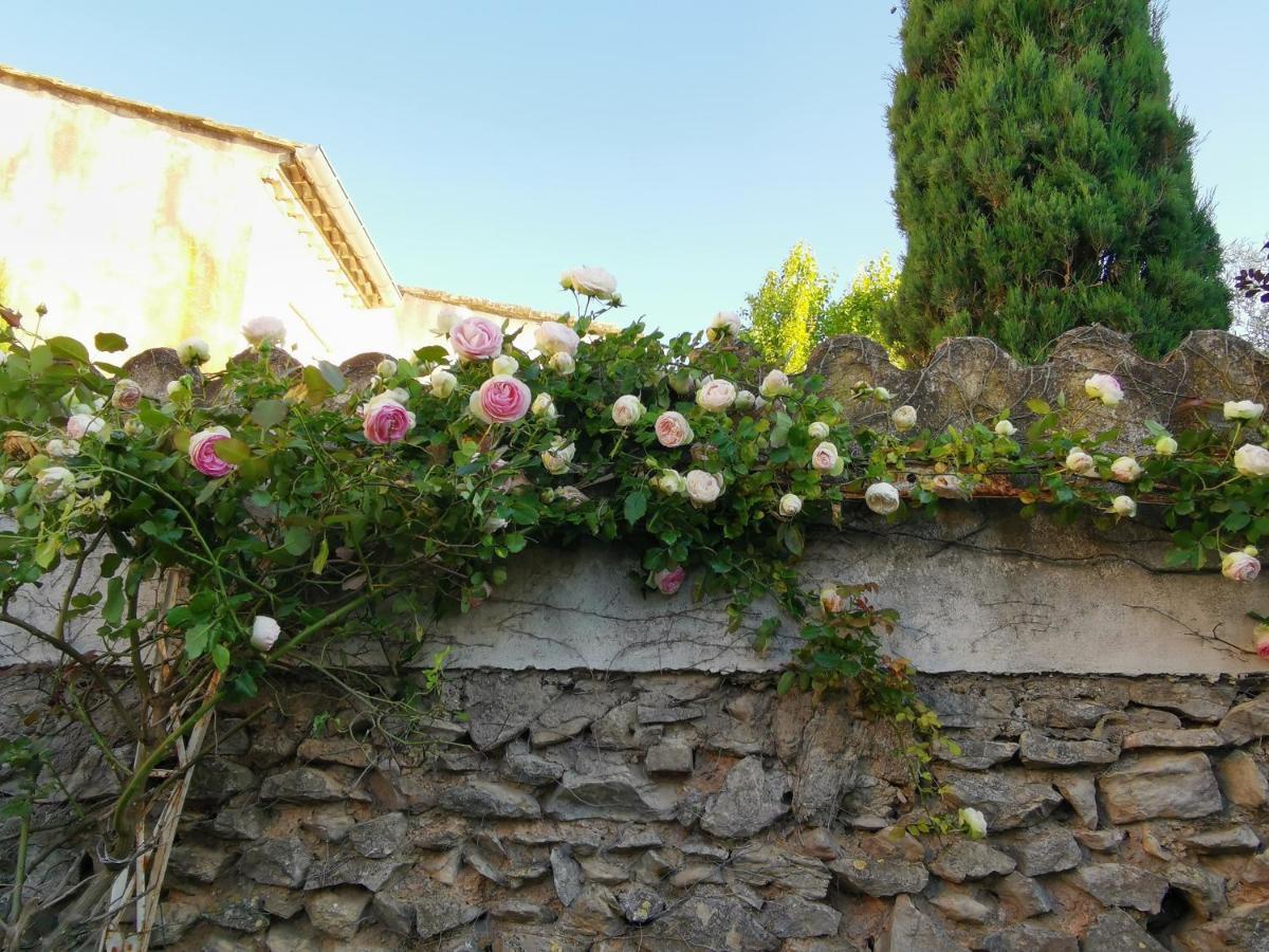 Villa La Taniere 16 Couchages Vergèze Exterior foto